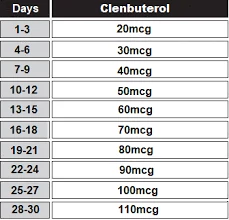 Clenbuterol dosage chart for men and women