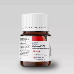 Beligas Pharmaceuticals Cytomel-T3