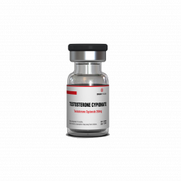 Singani Pharma Testosterone Cypionate 250