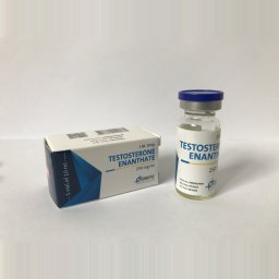 Genetic Pharmaceuticals Testosterone Enanthate [10 mL Vial]