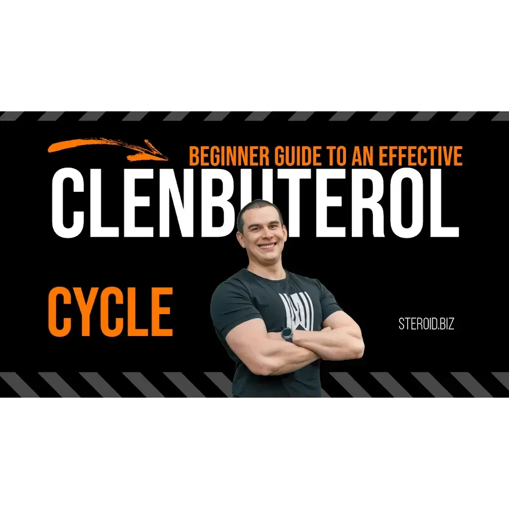 Clenbuterol Cycle: A Complete Guide for Beginners