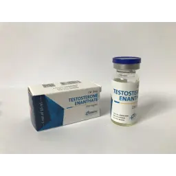 Testosterone Enanthate [10 mL Vial]